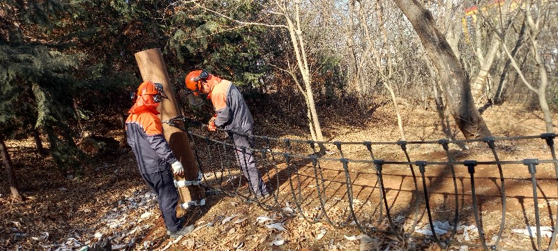 유아숲체험원 정비